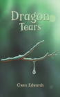 Dragon Tears - Book