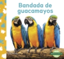 Bandada de guacamayos (Macaw Flock) - Book