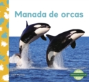 Manada de orcas (Orca Whale Pod) - Book