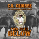 Two Feet Below (The China Bohannon Series, Book 2) - eAudiobook