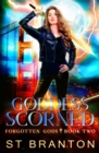 Goddess Scorned - Book