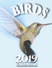 Birds 2019 Calendar (UK Edition) - Book