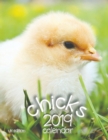 Chicks 2019 Calendar (UK Edition) - Book