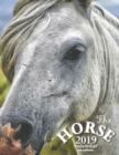 The Horse 2019 Calendar (UK Edition) - Book