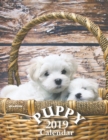 Puppy 2019 Calendar (UK Edition) - Book