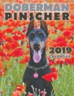 Doberman Pinscher 2019 Calendar (UK Edition) - Book
