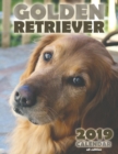 Golden Retriever 2019 Calendar (UK Edition) - Book