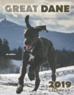 Great Dane 2019 Calendar (UK Edition) - Book