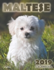 Maltese 2019 Calendar (UK Edition) - Book
