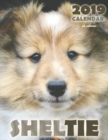 Sheltie 2019 Calendar (UK Edition) - Book