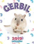 Gerbil 2019 Calendar (UK Edition) - Book