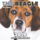 The Beagle 2019 Mini Wall Calendar (UK Edition) - Book