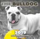 The Bulldog 2019 Mini Wall Calendar (UK Edition) - Book