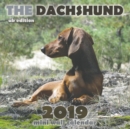 The Dachshund 2019 Mini Wall Calendar (UK Edition) - Book