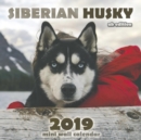 The Siberian Husky 2019 Mini Wall Calendar (UK Edition) - Book