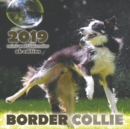 Border Collie 2019 Mini Wall Calendar (UK Edition) - Book