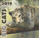 Big Cats 2019 Mini Wall Calendar (UK Edition) - Book