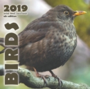 Birds 2019 Mini Wall Calendar (UK Edition) - Book