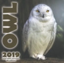 The Owl 2019 Mini Wall Calendar (UK Edition) - Book