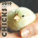 Chicks 2019 Mini Wall Calendar (UK Edition) - Book