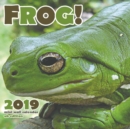 The Frog 2019 Calendar (UK Edition) - Book