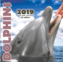 Dolphins 2019 Mini Wall Calendar (UK Edition) - Book