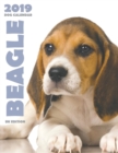 Beagle 2019 Dog Calendar (UK Edition) - Book
