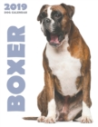 Boxer 2019 Dog Calendar (UK Edition) - Book
