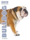 Bulldog 2019 Dog Calendar (UK Edition) - Book