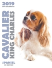 Cavalier King Charles Spaniel 2019 Dog Calendar (UK Edition) - Book
