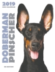 Doberman 2019 Dog Calendar (UK Edition) - Book
