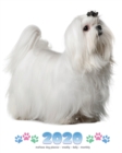 2020 Maltese Dog Planner - Weekly - Daily - Monthly - Book