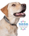 2020 Labrador Retriever Dog Planner - Weekly - Daily - Monthly - Book