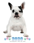 2020 French Bulldog Planner - Weekly - Daily - Monthly - Book