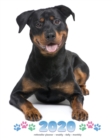 2020 Rottweiler Planner - Weekly - Daily - Monthly - Book