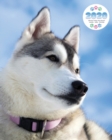 2020 Siberian Husky Dog Planner - Weekly - Daily - Monthly - Book