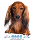 2020 Dachshund Planner - Weekly - Daily - Monthly - Book