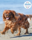 2020 Cavalier King Charles Spaniel Planner - Weekly - Daily - Monthly - Book