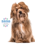 2020 Havanese Planner - Weekly - Daily - Monthly - Book