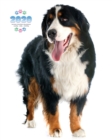 2020 Bernese Mountain Dog Planner - Weekly - Daily - Monthly - Book