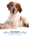 2020 Brittany Dog Planner - Weekly - Daily - Monthly - Book