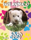 Baby Animals! 2020 Calendar (UK Edition) - Book