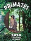 Primates 2020 Calendar (UK Edition) - Book