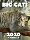 Big Cats 2020 Calendar (UK Edition) - Book