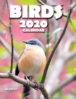 Birds 2020 Calendar (UK Edition) - Book