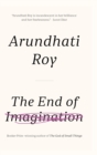The End of Imagination - Book