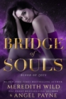 Bridge of Souls : Blood of Zeus: Book Four - Book