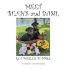 Meet Beans and Basil - Book