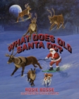 What Does Old Santa Do? - Book