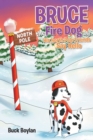 Bruce the Fire Dog and His North Pole Friends Say Hello - eBook
